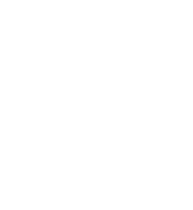 Syracuse Biomedical Services